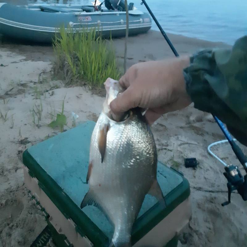Фотоотчет с рыбалки. Место: Холмогорский район