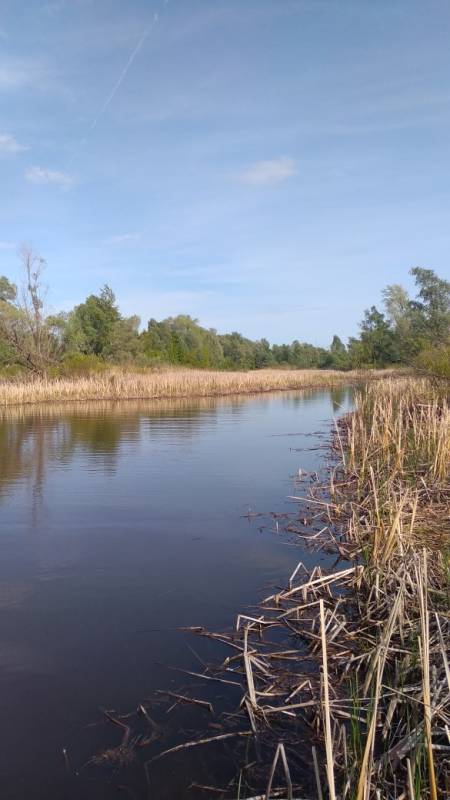 Фотоотчет с рыбалки. Место: Куйбышевское водохранилище