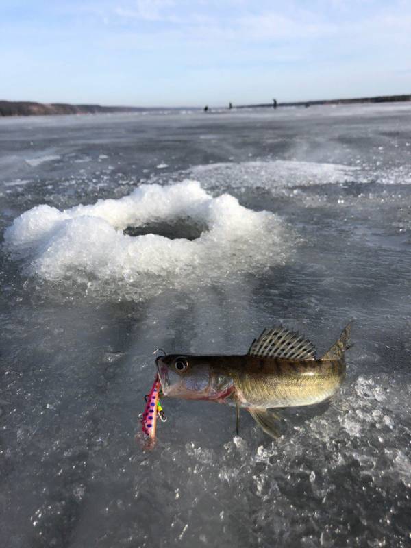 Фотоотчет с рыбалки. Место: Нижнекамское водохранилище