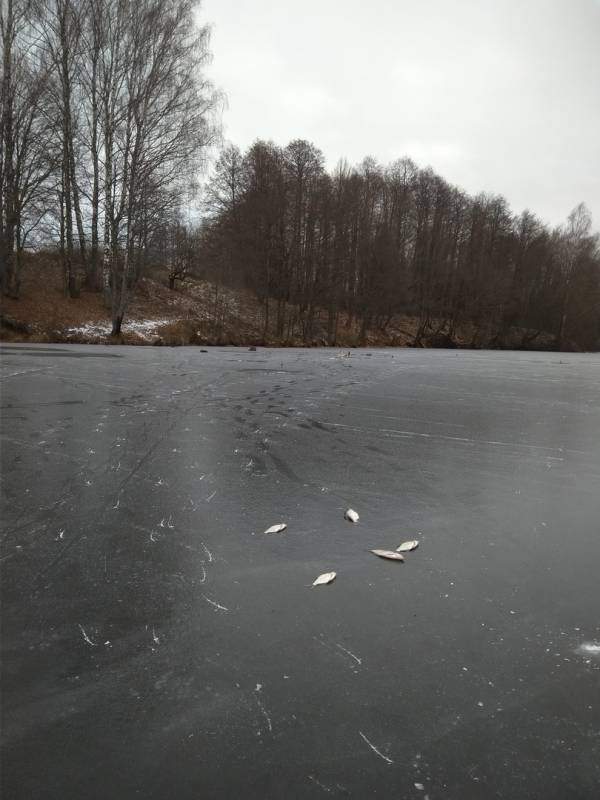 Фотоотчет с рыбалки. Место: Десногорское водохранилище