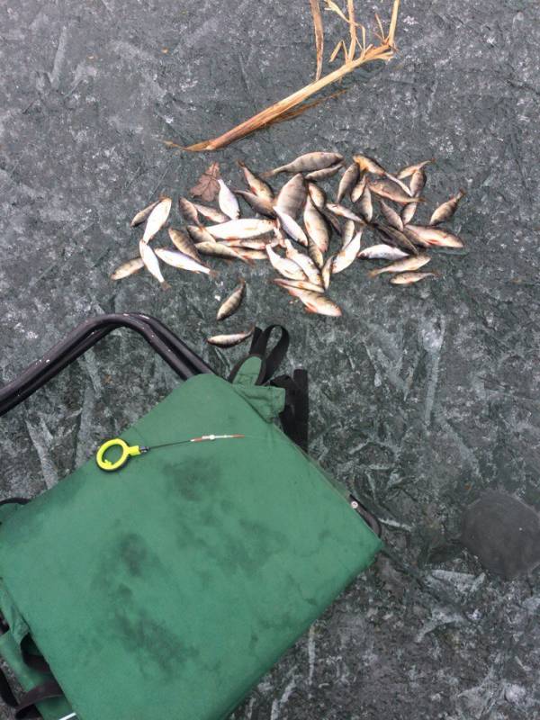 Фотоотчет с рыбалки. Место: Тугулымский городской округ
