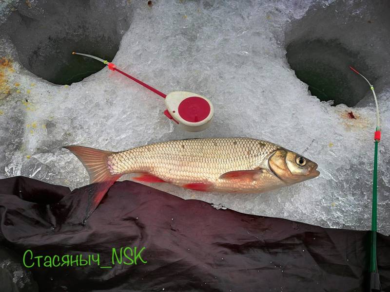 Фотоотчет с рыбалки. Место: Новосибирское водохранилище