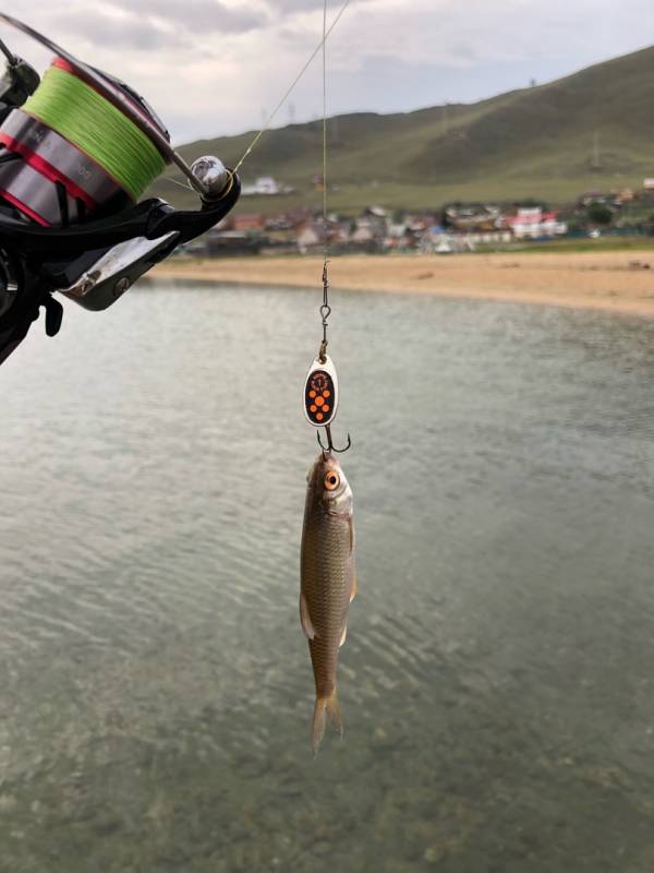 Фотоотчет по рыбе: Плотва. Место рыбалки: Улан-Удэ (Респ. Бурятия)