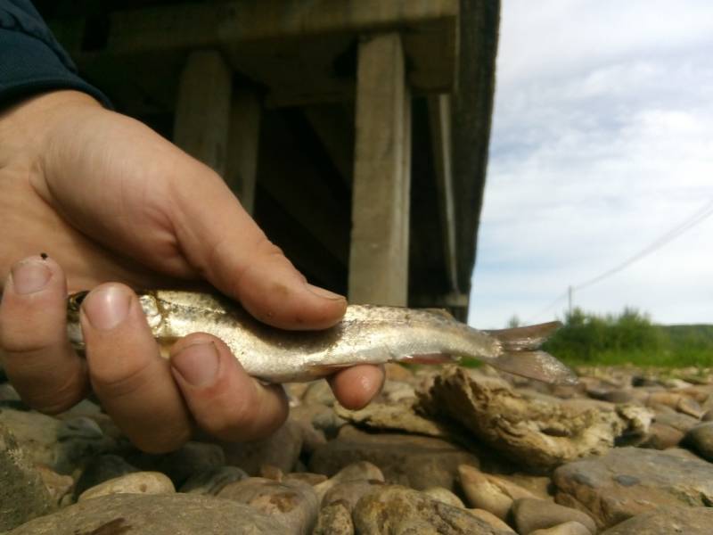 Фотоотчет с рыбалки. Место: Иркутский район