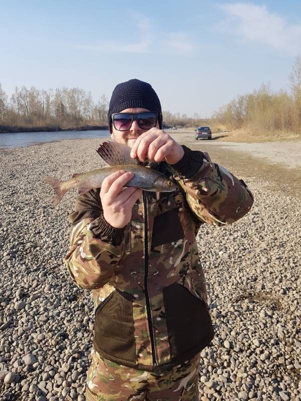 Фотоотчет по рыбе: Хариус. Место рыбалки: Иркутское водохранилище