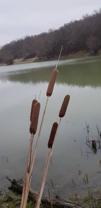 Фотоотчет с рыбалки. Место: Крымск