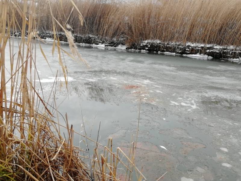 Фотоотчет с рыбалки. Место: Приморско-Ахтарск (Краснодарский край)