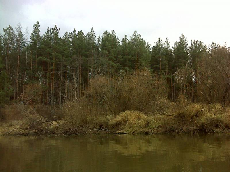 Фотоотчет с рыбалки. Место: Орехово-Зуево