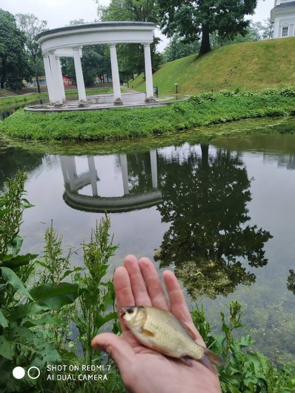 Фотоотчет с рыбалки. Место: Калининградская область