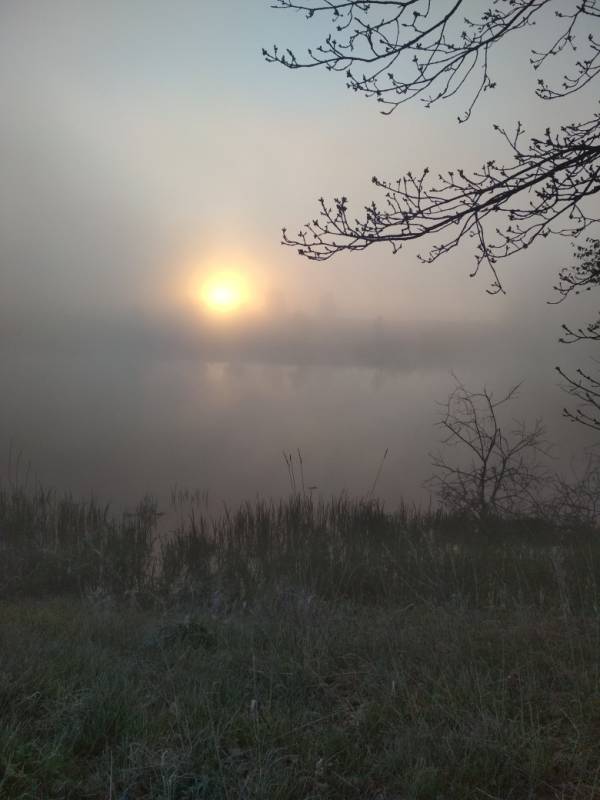 Фотоотчет с рыбалки. Место: Светлый