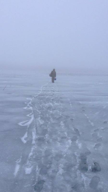 Фотоотчет с рыбалки. Место: Краснодар