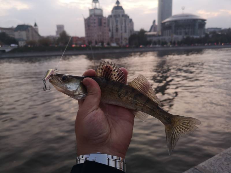 Фотоотчет с рыбалки. Место: Софьино