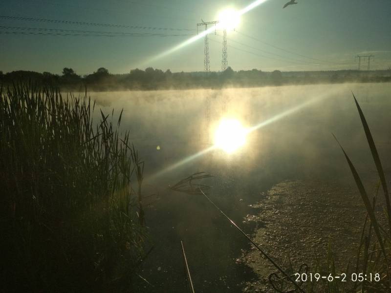 Фотоотчет с рыбалки. Место: Подольск