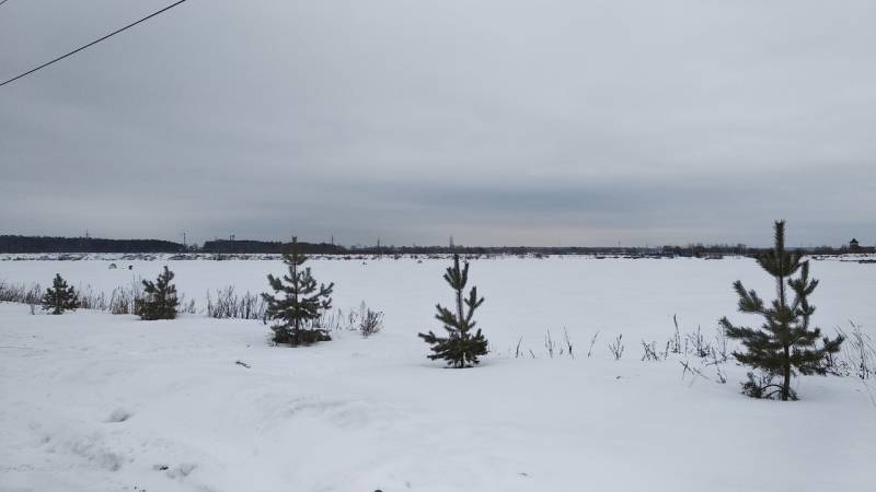 Фотоотчет с рыбалки. Место: Орехово-Зуево