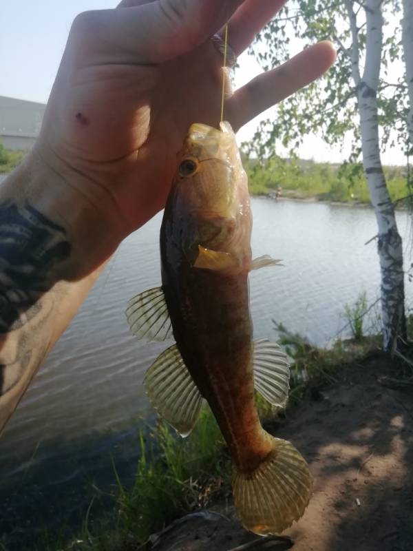 Фотоотчет с рыбалки. Место: Нижегородская область