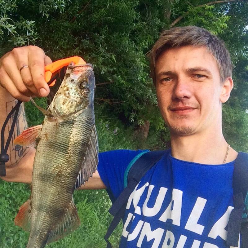 Фотоотчет по рыбе: Окунь. Место рыбалки: Владимирская область