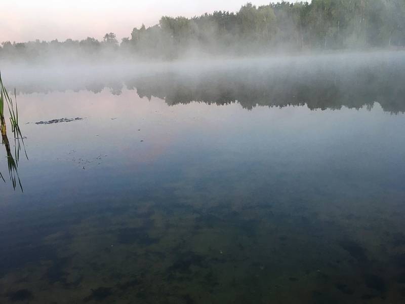 Фотоотчет с рыбалки. Место: Орехово-Зуево