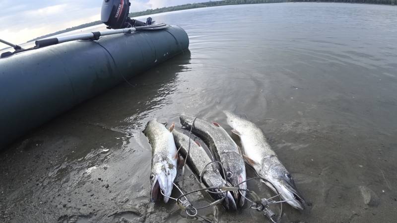 Фотоотчет с рыбалки. Место: Новосибирское водохранилище