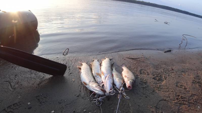 Фотоотчет с рыбалки. Место: Новосибирское водохранилище