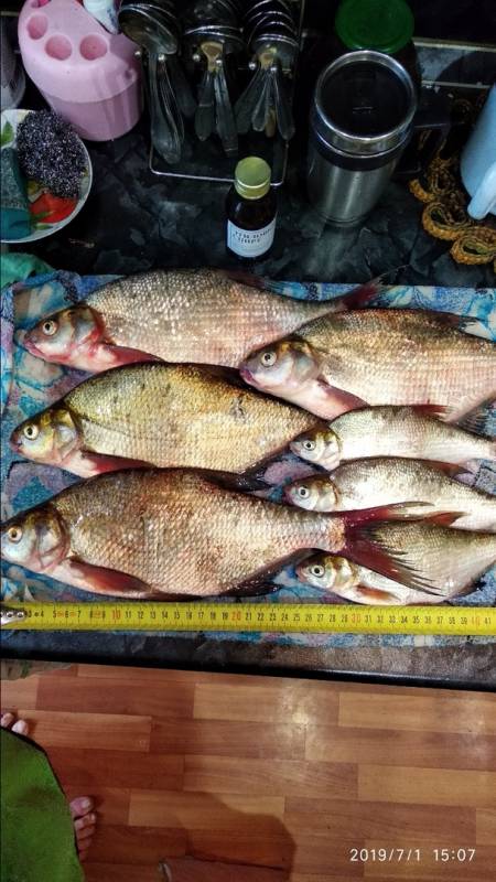 Фотоотчет с рыбалки. Место: Тагильский пруд