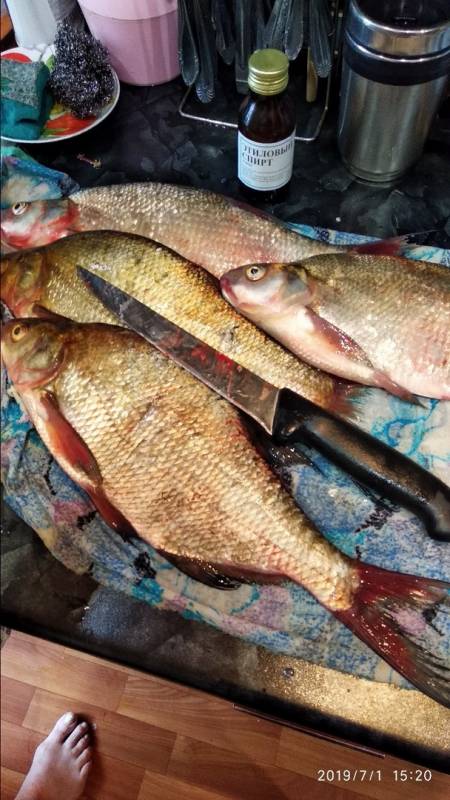 Фотоотчет с рыбалки. Место: Тагильский пруд