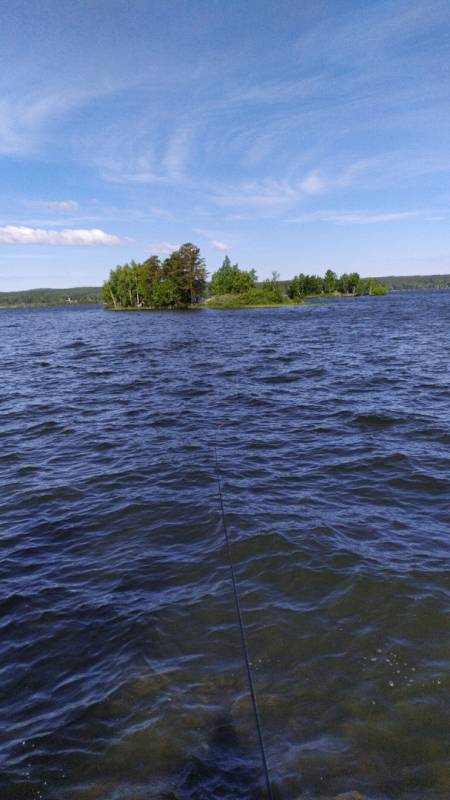 Фотоотчет с рыбалки. Место: Невьянский городской округ