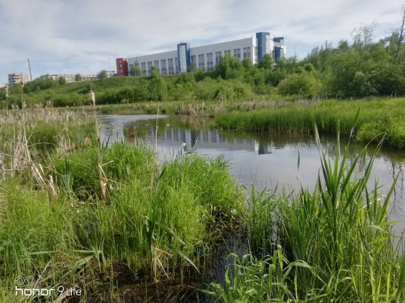 Фотоотчет с рыбалки. Место: Свердловская область