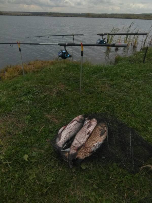 Фотоотчет по рыбе: Амур Белый. Место рыбалки: Республика Мордовия