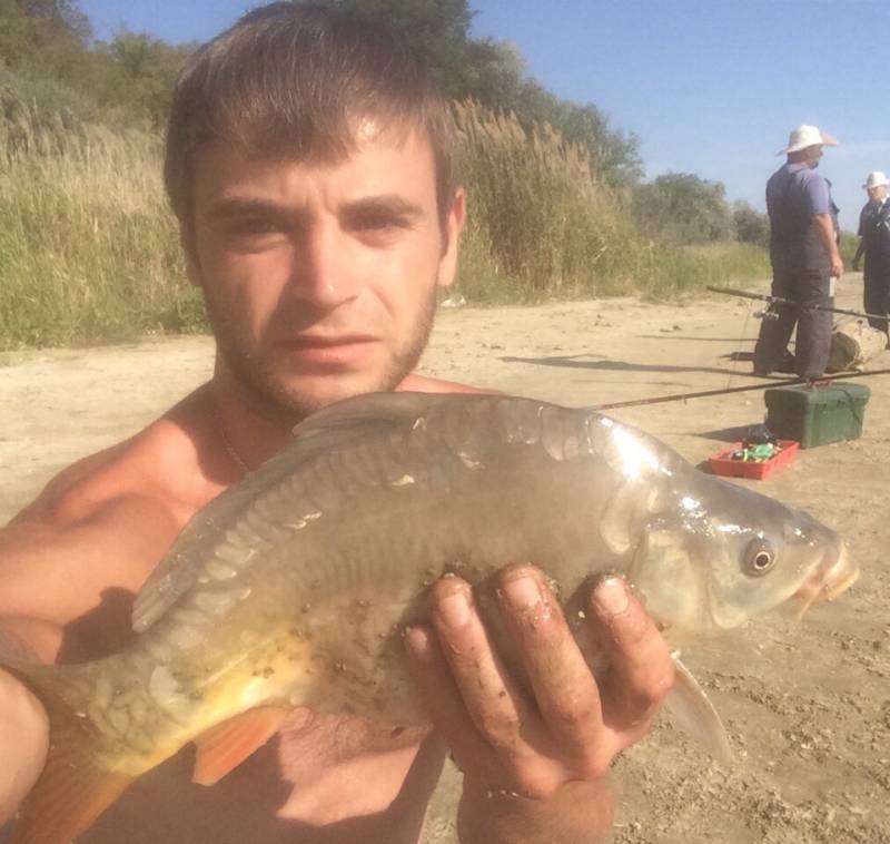 Фотоотчет по рыбе: Карп. Место рыбалки: Ставропольский край