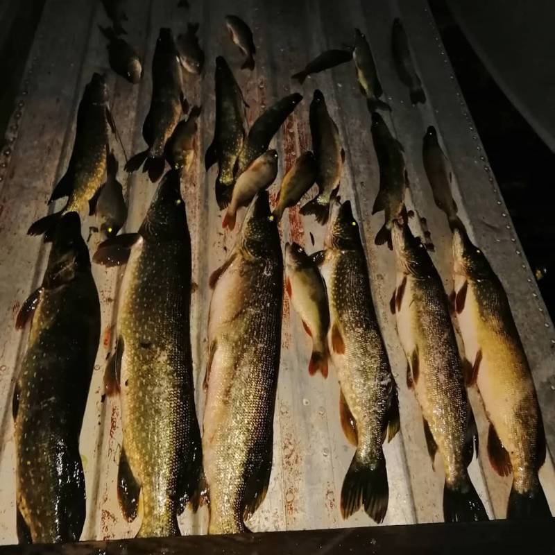 Фотоотчет с рыбалки. Место: Иркутская область