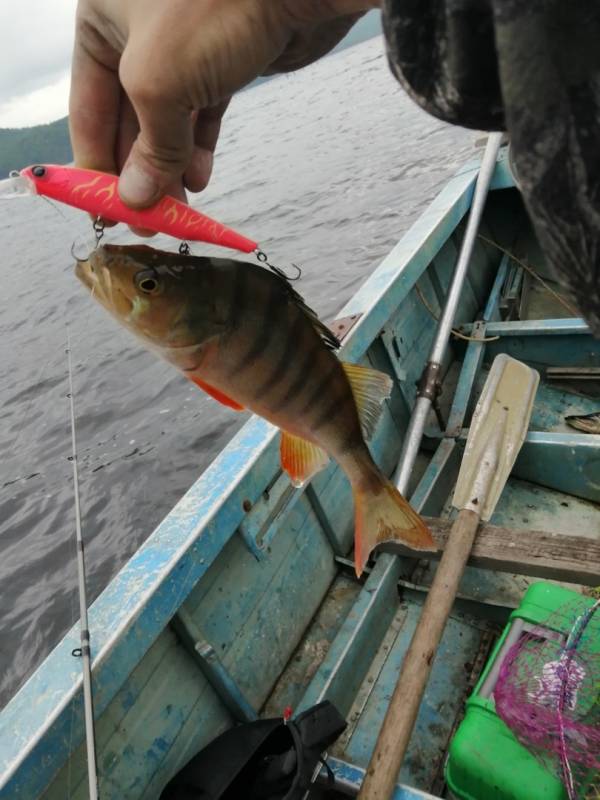 Фотоотчет с рыбалки. Место: Иркутская область