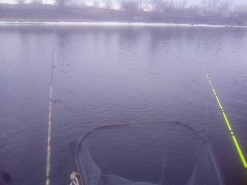 Фотоотчет с рыбалки. Место: Волгоградская область