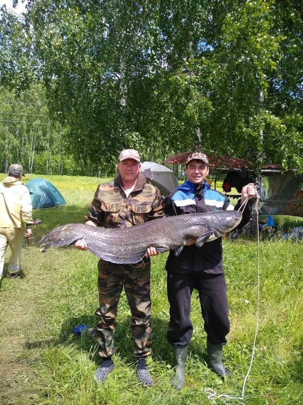 Фотоотчет по рыбе: Сом. Место рыбалки: Республика Башкортостан