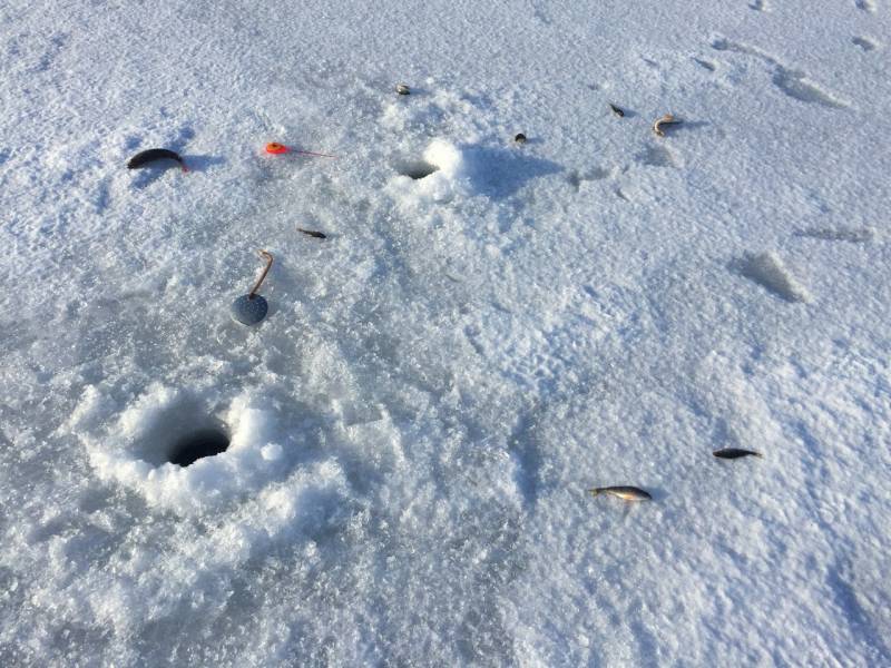 Фотоотчет с рыбалки. Место: Белгородская область