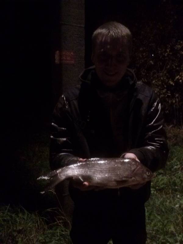 Фотоотчет по рыбе: Язь. Место рыбалки: Новгородская область