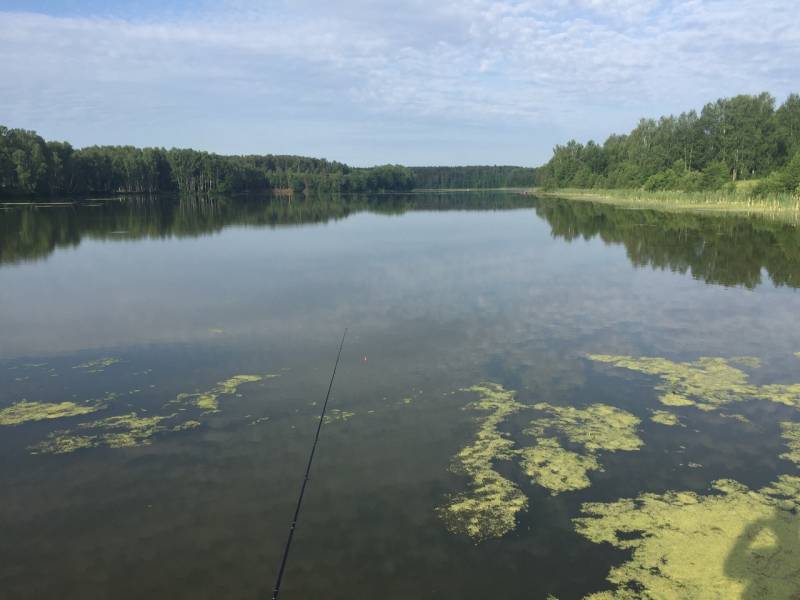 Фотоотчет с рыбалки. Место: Уводь