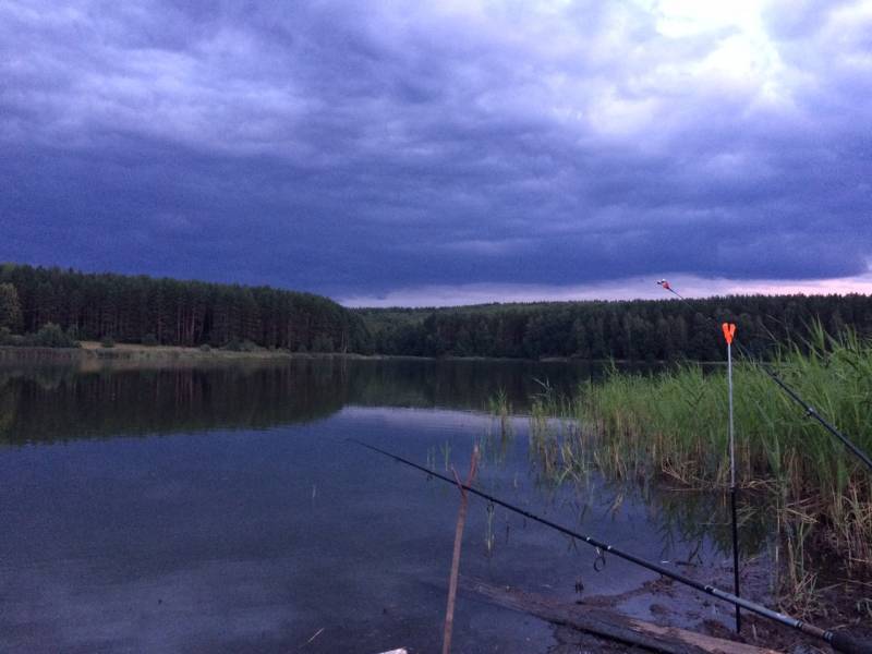 Фотоотчет с рыбалки. Место: Нижегородская область