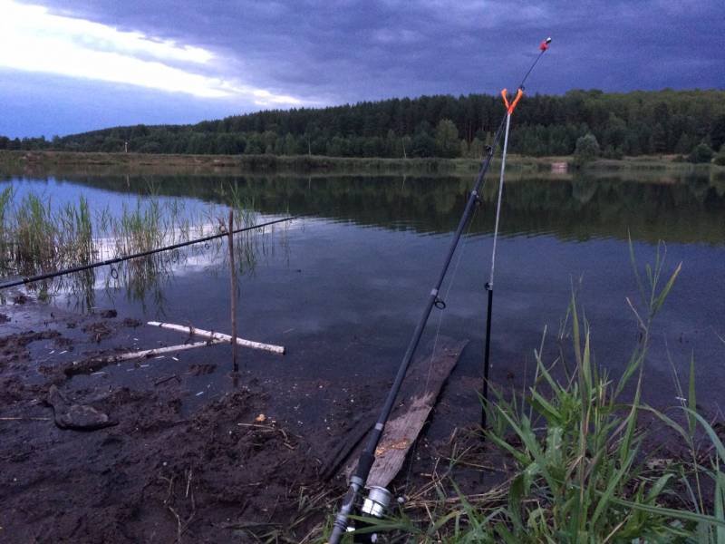 Фотоотчет с рыбалки. Место: Нижегородская область