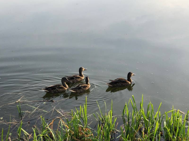 Фотоотчет с рыбалки. Место: Старооскольское водохранилище