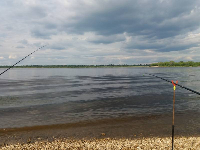 Фотоотчет с рыбалки. Место: Нижегородская область