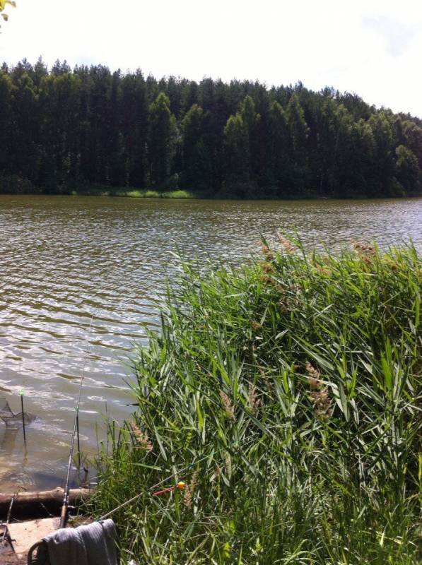 Фотоотчет с рыбалки. Место: Дальнее Константиново