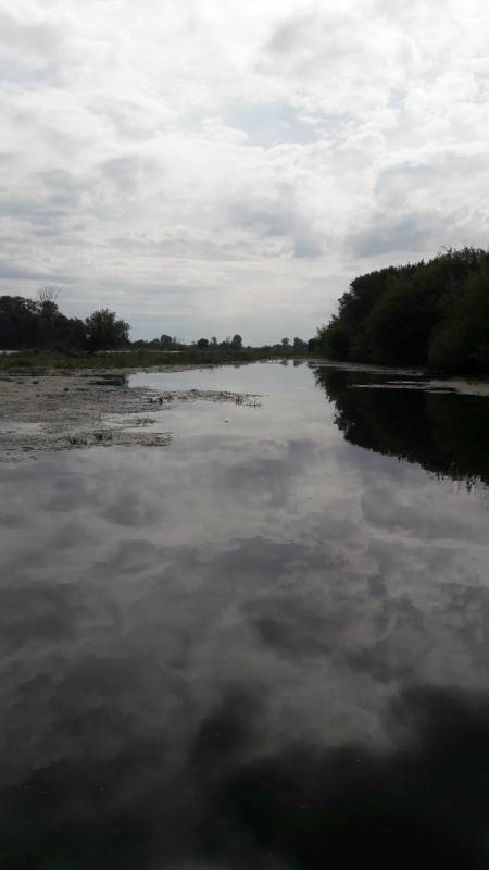 Фотоотчет с рыбалки. Место: Тольятти (Самарская обл.)