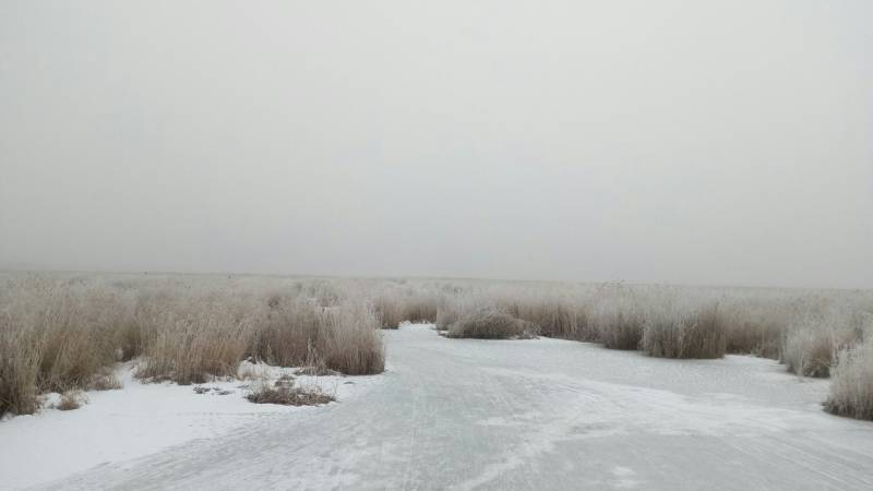 Фотоотчет с рыбалки. Место: Тенис