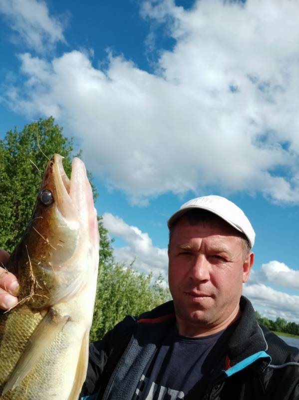Фотоотчет по рыбе: Судак. Место рыбалки: Нижегородская область