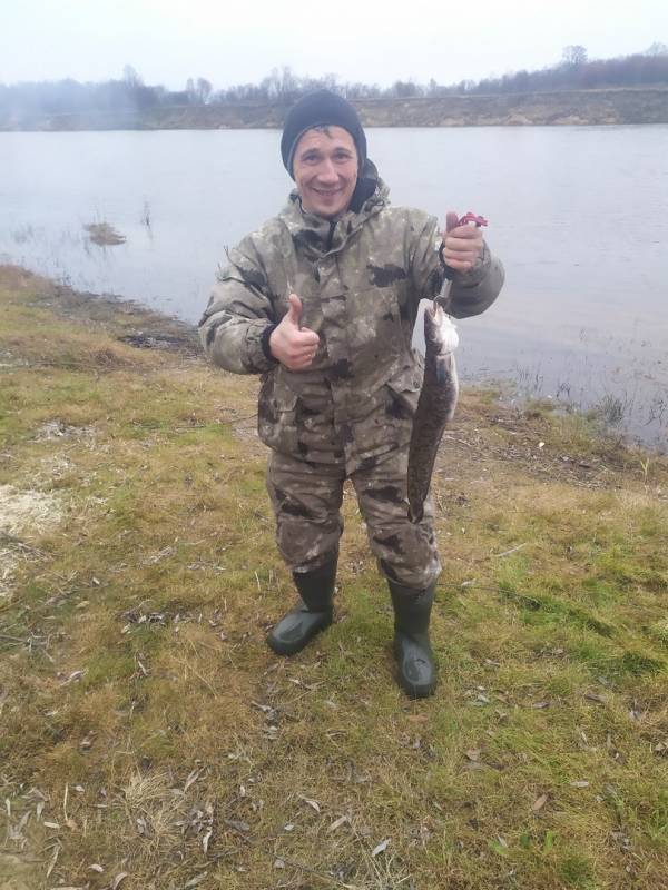 Фотоотчет по рыбе: Налим. Место рыбалки: Горбатов (Нижегородская обл.)