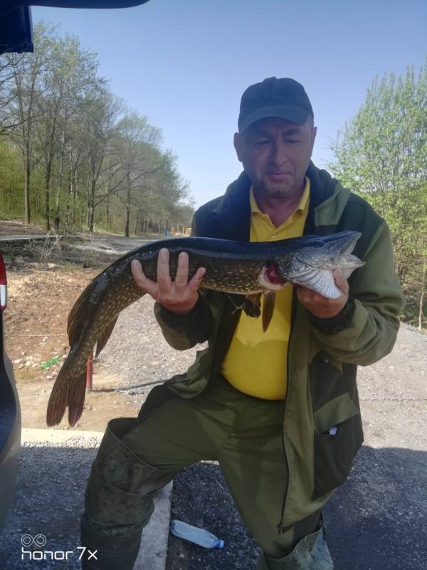 Рыболовный отчет по рыбе: Щука