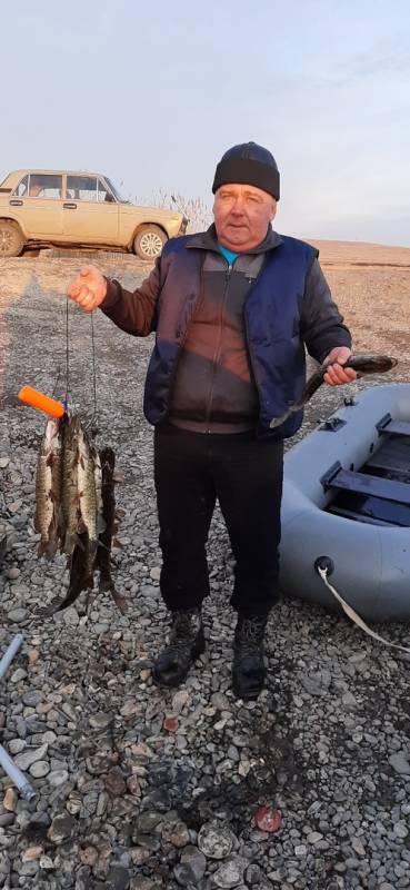 Фотоотчет по рыбе: Щука. Место рыбалки: Красноярское водохранилище
