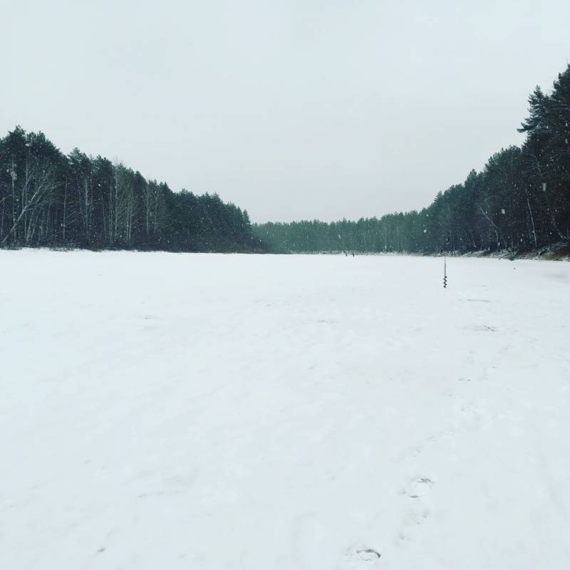 Фотоотчет с рыбалки. Место: Костромская область