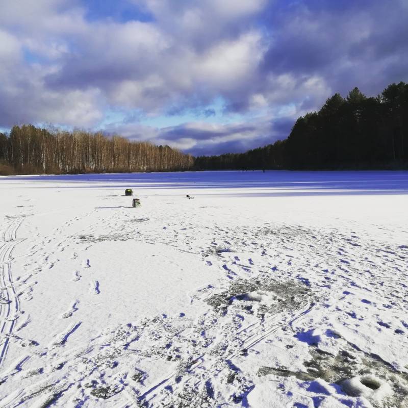 Фотоотчет с рыбалки. Место: Костромская область