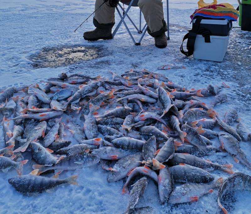 Фотоотчет с рыбалки. Место: озеро Байкал